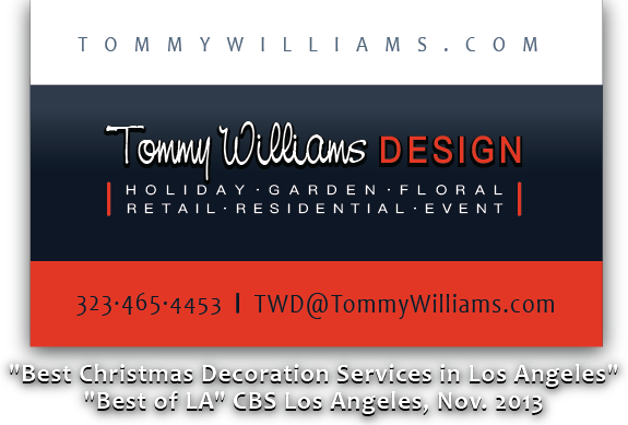 Tommy Williams Design