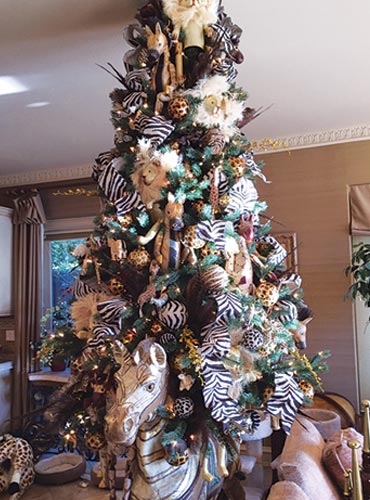 Tommy Williams Design