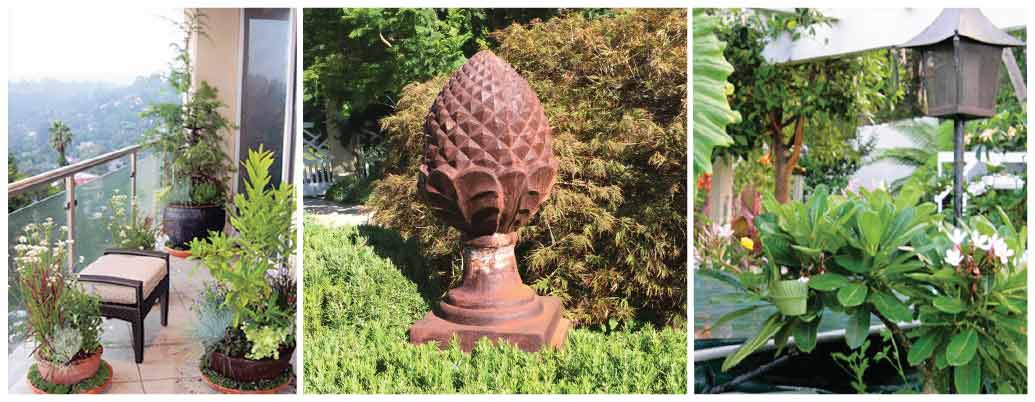 Tommy Williams Design