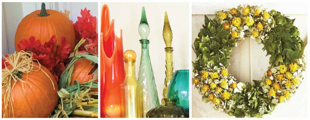 Tommy Williams Design